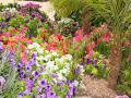 Garden Masters