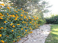 Garden Masters