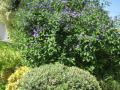 Garden Masters