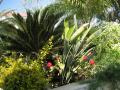 Garden Masters