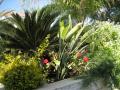 Garden Masters
